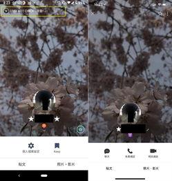 line查看个人资料