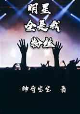 明星与粉丝小说,明星与粉丝的浪漫邂逅