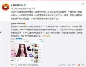 火猫女主播迅雷,揭秘网络直播界的璀璨明星